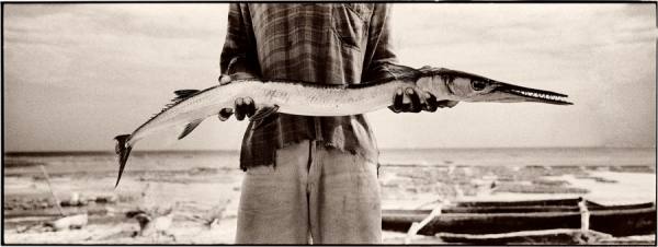 Photograph Antti Viitala Zanzibar Catch on One Eyeland